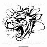 Tiger Mascot Vicious Atstockillustration Fierce sketch template
