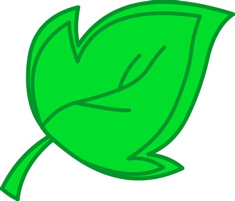leaves clipart green object  pictures  leaves colorful pictures