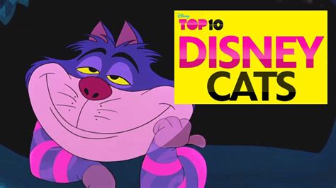 disney top 10 cats youtube
