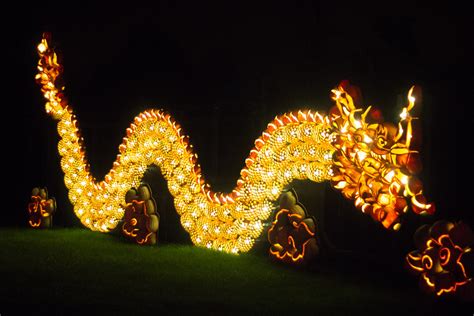 halloween pumpkin inferno rachelwolff flickr