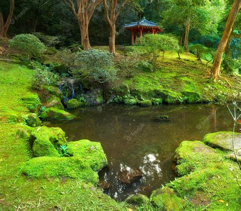 premium photo mossy garden   pond  japanese shrine landscape