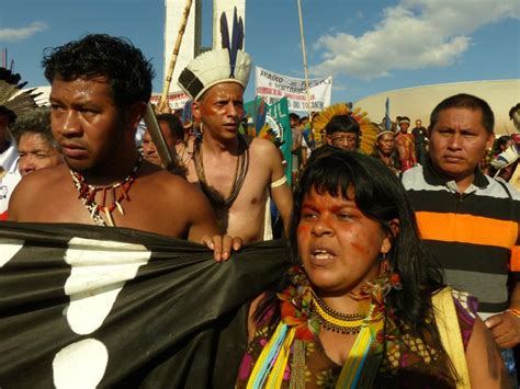 amazon watch institution protecting indigenous rights in brazil under