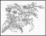 Coloring Pages Wild Wildflower Flower Wildflowers Drawing Printable Flowers Meadow Template Getdrawings Getcolorings sketch template