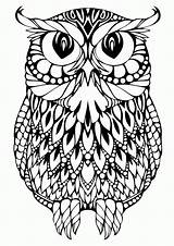 Coloring Pages Owl Skull Sugar Comments sketch template