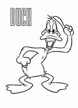 Duck Coloring Daffy Pages Netart Happy Bugs Show Search Again Bar Case Looking Don Print Use Find Top sketch template