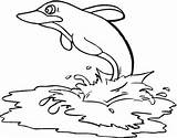 Delfino Delfini Delfin Stampare Morzu Kolorowanki Kolorowanka Disegnare Kategorii Druku sketch template