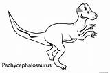 Pachycephalosaurus Names Dinossauro Dinosaure Colorir Coloriage Pritnable Colorier Triceratops Dessin Tudodesenhos Freekidscoloringpage Coloriages Olphreunion Imprimir 1526 sketch template