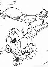 Looney Tunes Taz Kleurplaten Pobarvanke Pintar Toons Coloriages Animaatjes Elmer Pianetabambini Commento Scrivi Disneykleurplaten sketch template