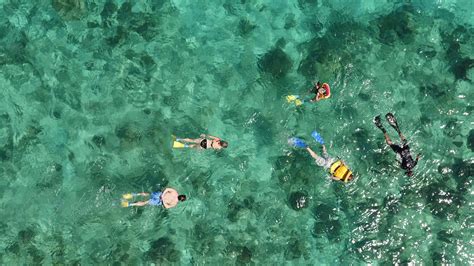 snorkel  legendary beqa lagoon nanuku resort