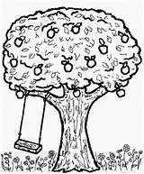 Apfelbaum Malvorlage Kostenlos Pommier Coloriages Arbre Zeichnung Acacia Drucken Sketch Malvorlagencr sketch template
