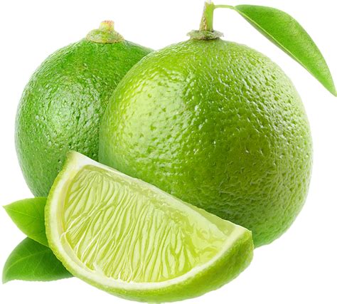 lime png image purepng  transparent cc png image library