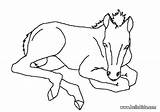 Foal Coloring Pages Dessin Cheval Horse Color Print Imprimer Drawings Dessins 438px 93kb Sur sketch template