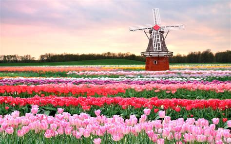 reasons  visit  netherlands flightsite blog