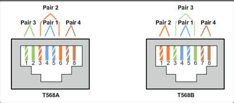 cat keystone wiring diagram