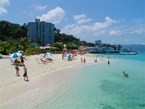 doctors cave beach and margaritaville montego bay highlights driving tour