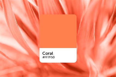 color  coral  meaning   work    related colors picsart blog