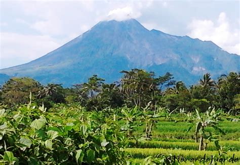 Wisata Nananda Pemandangan Gunung Merapi
