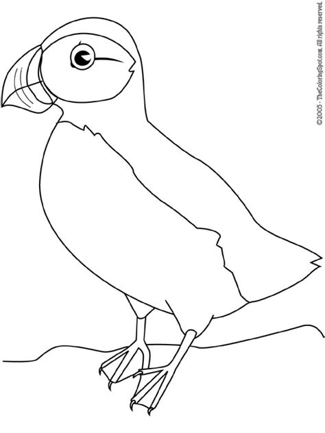 puffin coloring page audio stories  kids  coloring pages