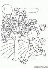 Wiosna Roku Pory Colorkid Jahreszeiten Junge Kolorowanki Sfera Ragazzo Printemps Kolorowanka Kugel Estaciones Willow Ropa Chłopiec Bola Muchacho Stagioni Garçon sketch template