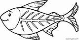 Coloring Pages Fish Ray Printable Easy Drawing Cartoon Tetra Color Format Vector sketch template