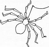Spider Coloring Web Making Netart sketch template