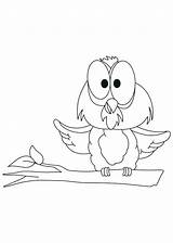 Owl Burrowing Drawing Getdrawings Snowy Coloring sketch template