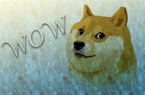 doge meme inspired hd wallpaper wow factor included  doge