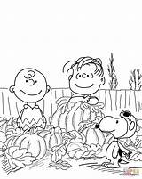 Charlie Coloring Brown Pages Pumpkin Great Peanuts Halloween Thanksgiving Printable Characters Christmas Snoopy Color Print Charlotte Pumpkins Supercoloring Kids Sheet sketch template