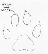 Wolf Draw Paw Print sketch template