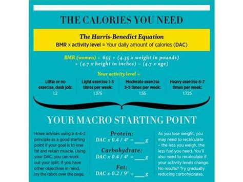 macros counting fats carbs  protein  weight loss