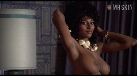 Pam Grier Nude Naked Pics And Sex Scenes At Mr Skin