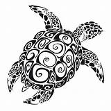 Mandala Turtle Clipart Tortue Webstockreview Tatoo Echo sketch template