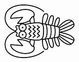 Crustaceos Crustacean Colorir Crustáceo Crustacea Langostas Dibuixos Crustaceo Lagostas Designlooter Animais Registrato Utente Dibuix sketch template