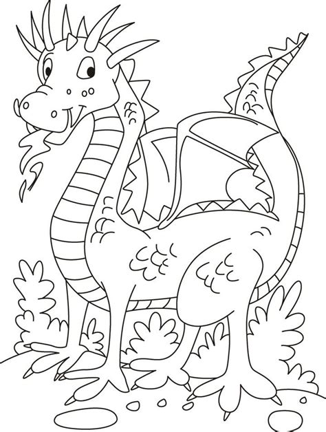 images  dragons  pinterest dragon art baby dragon