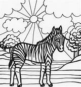 Coloring Pages Zebra Animal Zebras Color Printable Kids Cute Print Elephant Popular Comments sketch template
