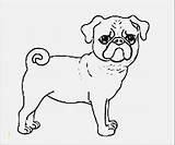 Pug Coloring Pages Pugs Baby Puppy Dog Print Tail Printable Cute Dogs Divyajanani Library Clipart Collection Sketch Popular sketch template