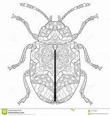 Illustration Drawn Vector Stylized Beetle Zentangle Lace Hand Preview sketch template