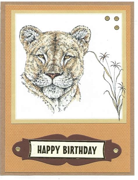 lioness happy birthday happy birthday birthday happy