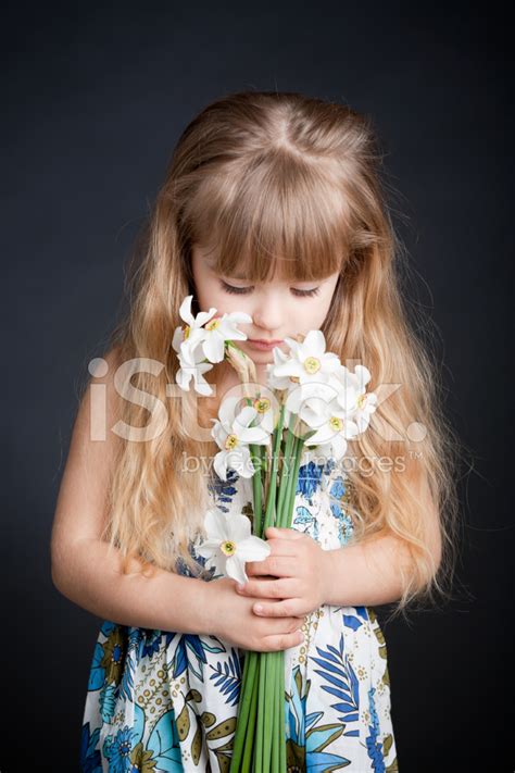girl holding flower stock photo royalty  freeimages