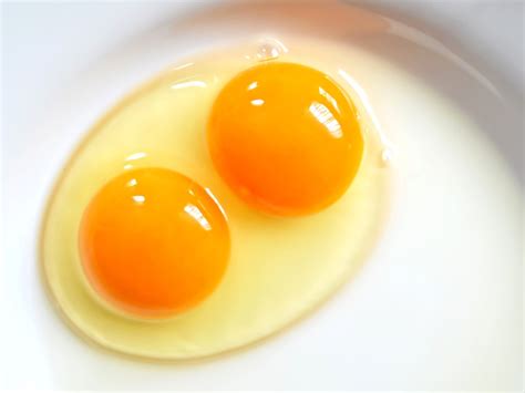 chances   double egg yolk pete  gerrys organic eggs