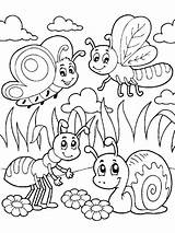 Coloring Pages Insect Insects Bug Summer Bugs Choose Board Cute sketch template