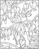 Coloring Pages Bleeding Heart Flower Color Number Dover Floral Book Creative Doverpublications Colorir Samples Publications Para Colouring Desenhos Haven Welcome sketch template