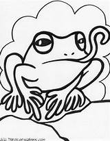 Frog Coloring Tongue Pages sketch template