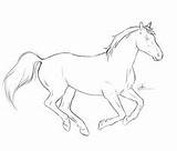 Paard Tekeningen Paarden Chronically Cob sketch template