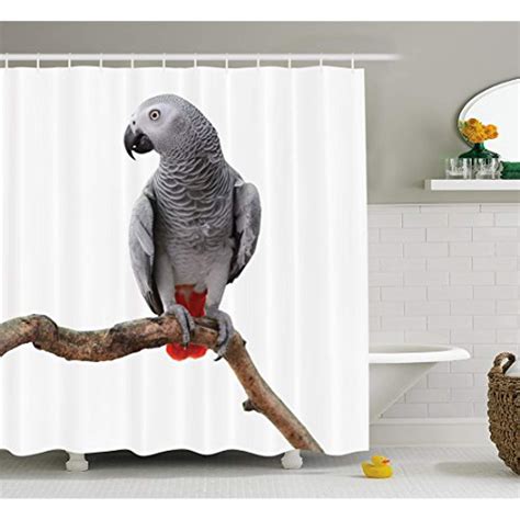 grey shower curtain  ambesonne african parrot bird psittacus erithacus standing   branch