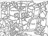 Jungle Coloring Pages Scene Kids sketch template