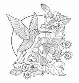 Hummingbird Coloring Mandala Vector Book Colibri Adults Pages Drawings Tattoo Desenho Adult Illustration Clipart Vectors Stencils sketch template