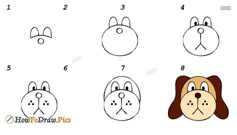 draw dog face pictures dog face step  step drawing lessons