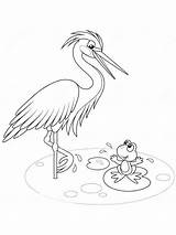 Coloring Pages Egrets Egret Birds Printable Recommended sketch template