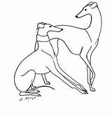 Greyhound Whippet Colorear Windhunde Windhund Galgos Zeichnen Zeichnungen Podenco Minimalistische Whippets Perro Lurcher Hunde Porzellanmalerei Niedliche Gemälde Tatze Bemalen Steine sketch template